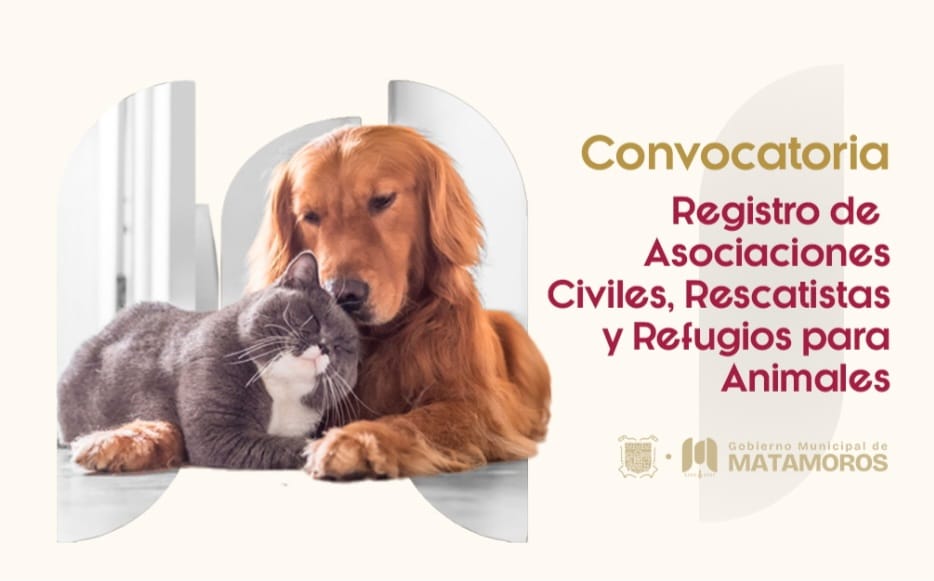 e382d9d0-7d18-4e16-83ee-64809d4ebb5a