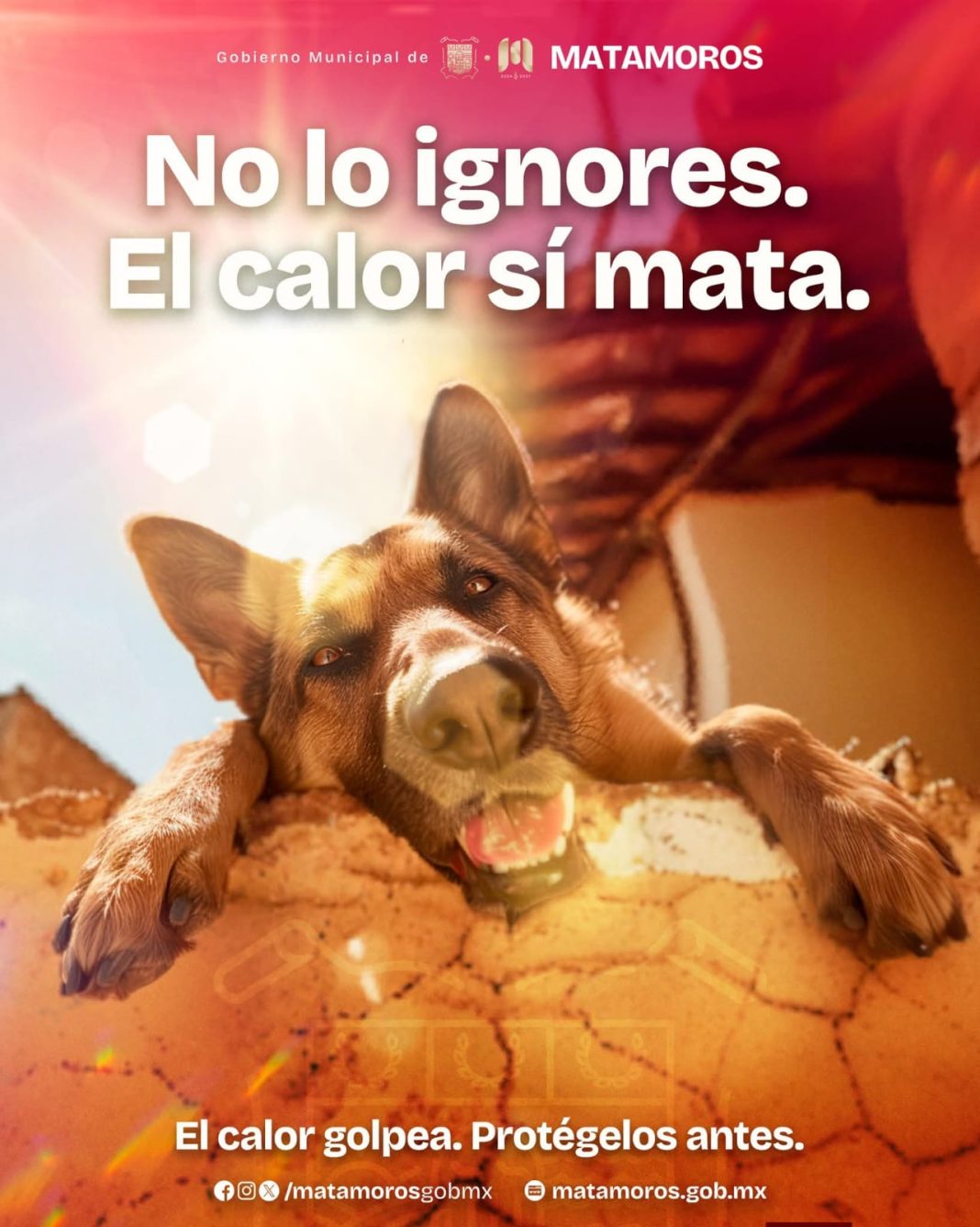 0c12c07f-3ee1-43b5-bacd-6df3e3fc2938