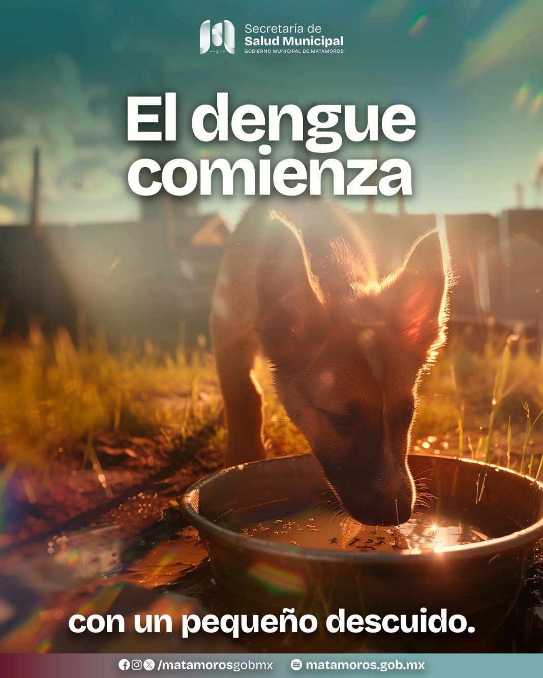 1142bed7-660e-459e-ba5d-8ddd98904208