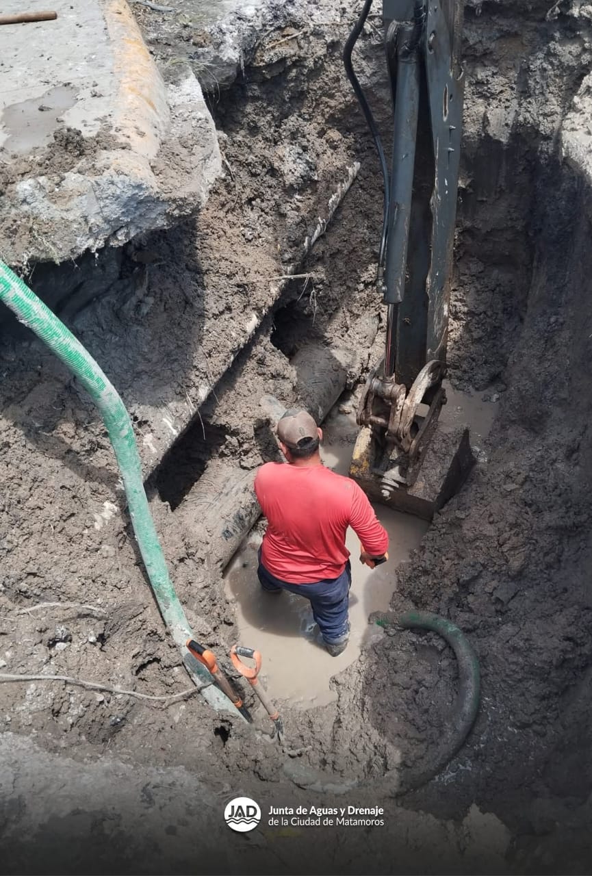 8756ac8f-c994-470e-95da-15b71aefbcb6