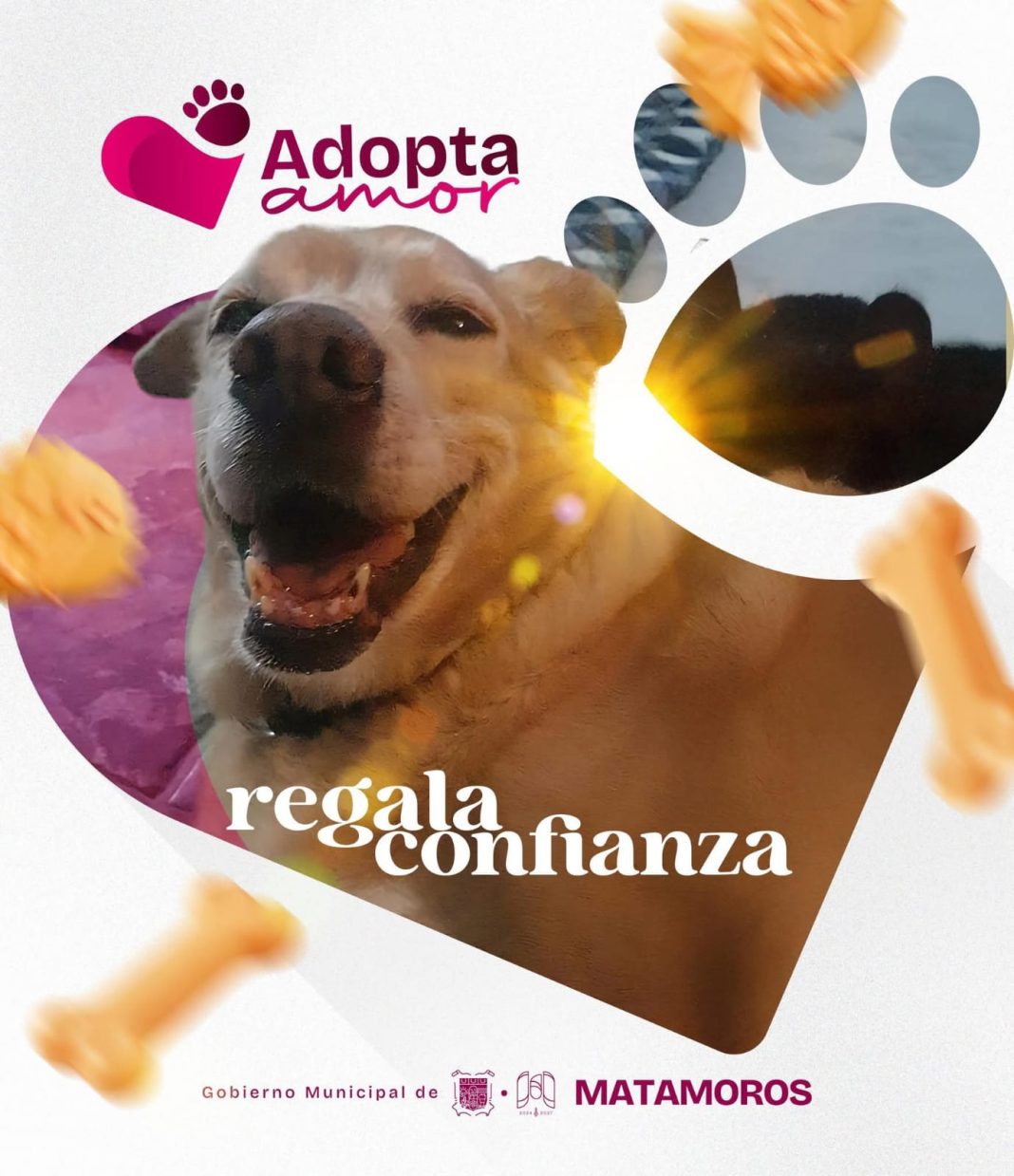 8f043e5d-0039-4c40-b003-d0e956a72126