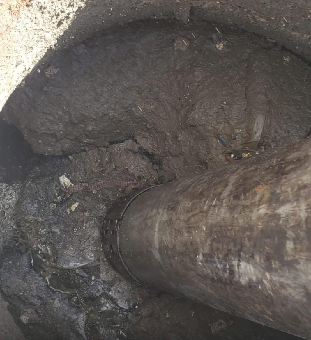 WhatsApp Image 2025-09-23 at 2.49.03 PM