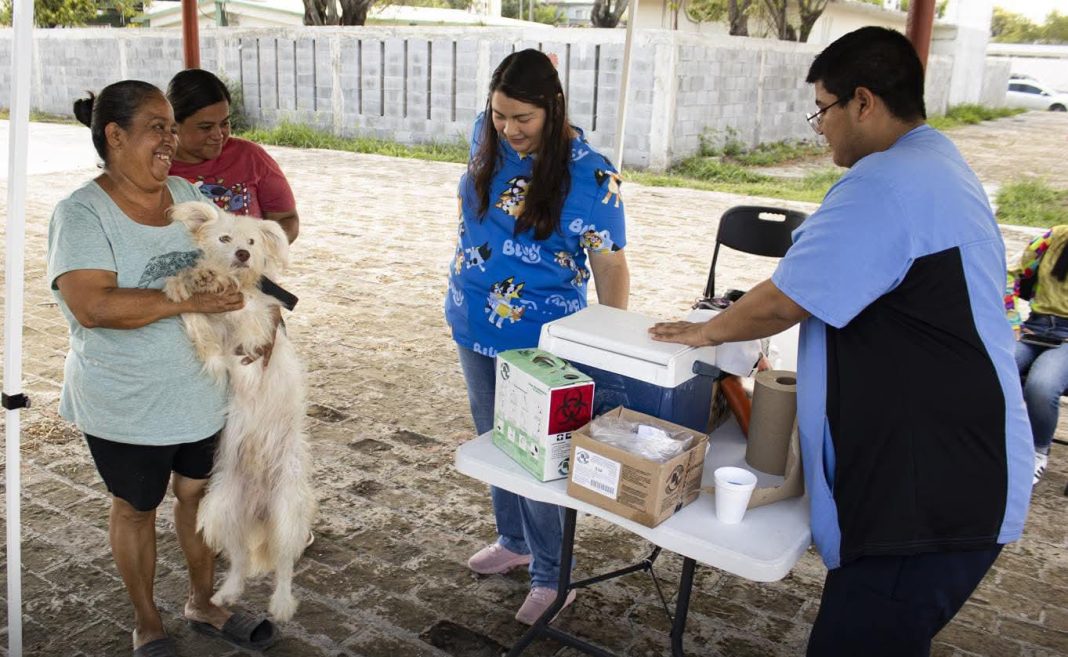 WhatsApp Image 2025-09-23 at 3.10.39 PM