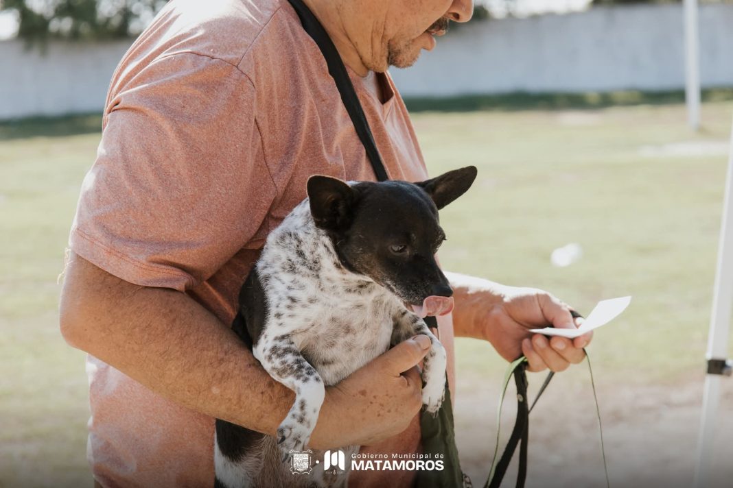 d883334b-dedd-41da-bfa5-715c0ae8851d