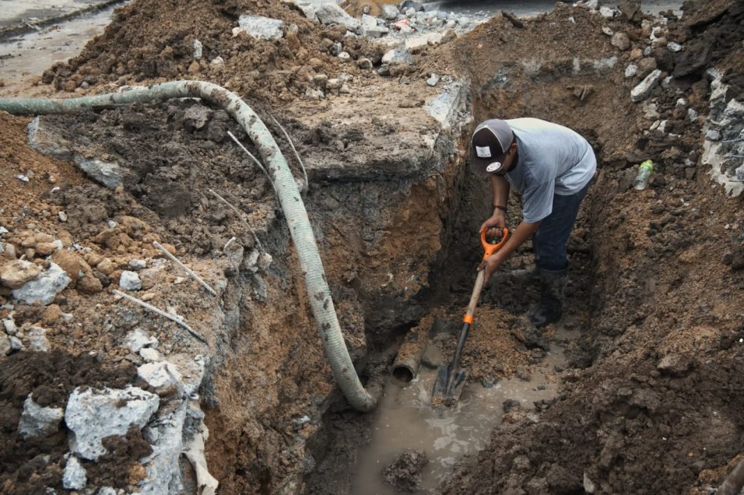 e2485a72-6382-4162-8d3d-af44d0aab623