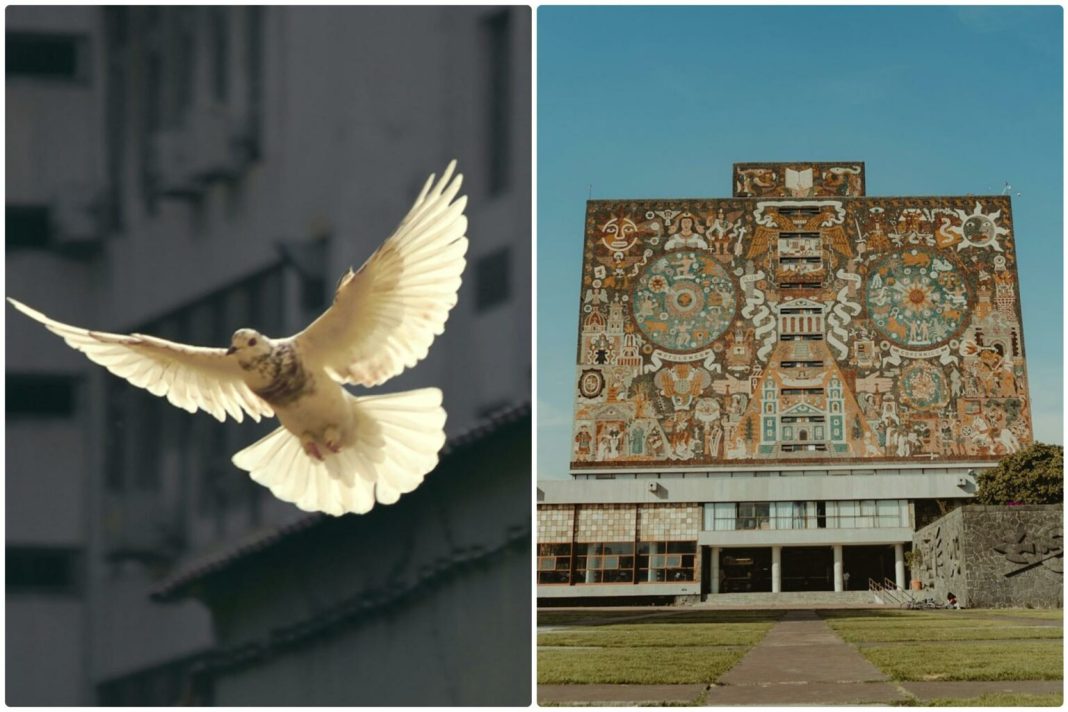 unam-semana-paz-2025-lomeli-1536x1024