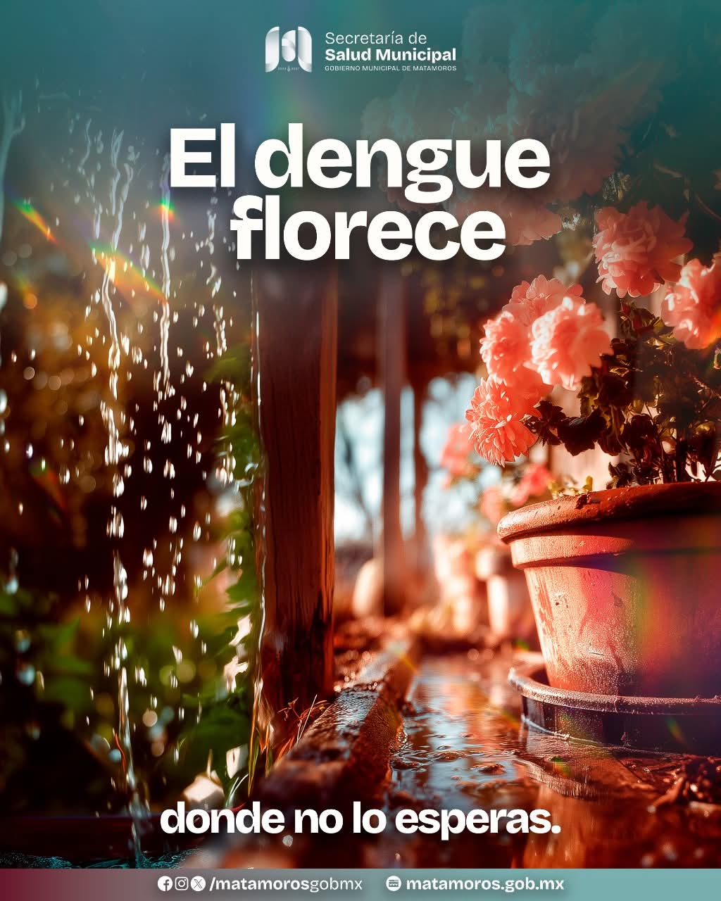 41c5a1ef-f052-4f15-bfae-fdb49935ff88