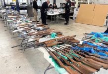 EE.UU. decomisa 400 armas que tenían como destino México