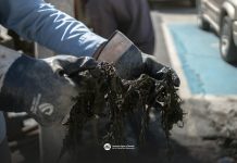 Por instrucción del alcalde Beto Granados, se atienden reportes de taponamientos en Fovissste