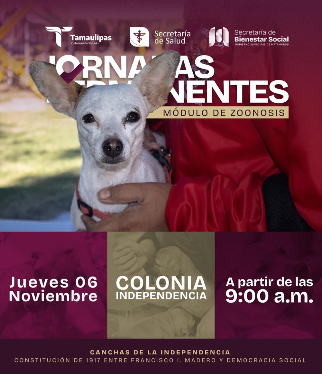 b0f13461-7be6-4190-b90b-d1480f6e0eef