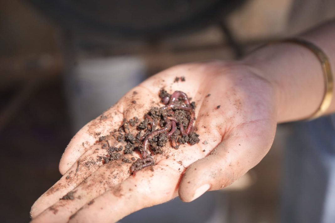 853753d5-6362-45d0-8a56-83a36717e37e